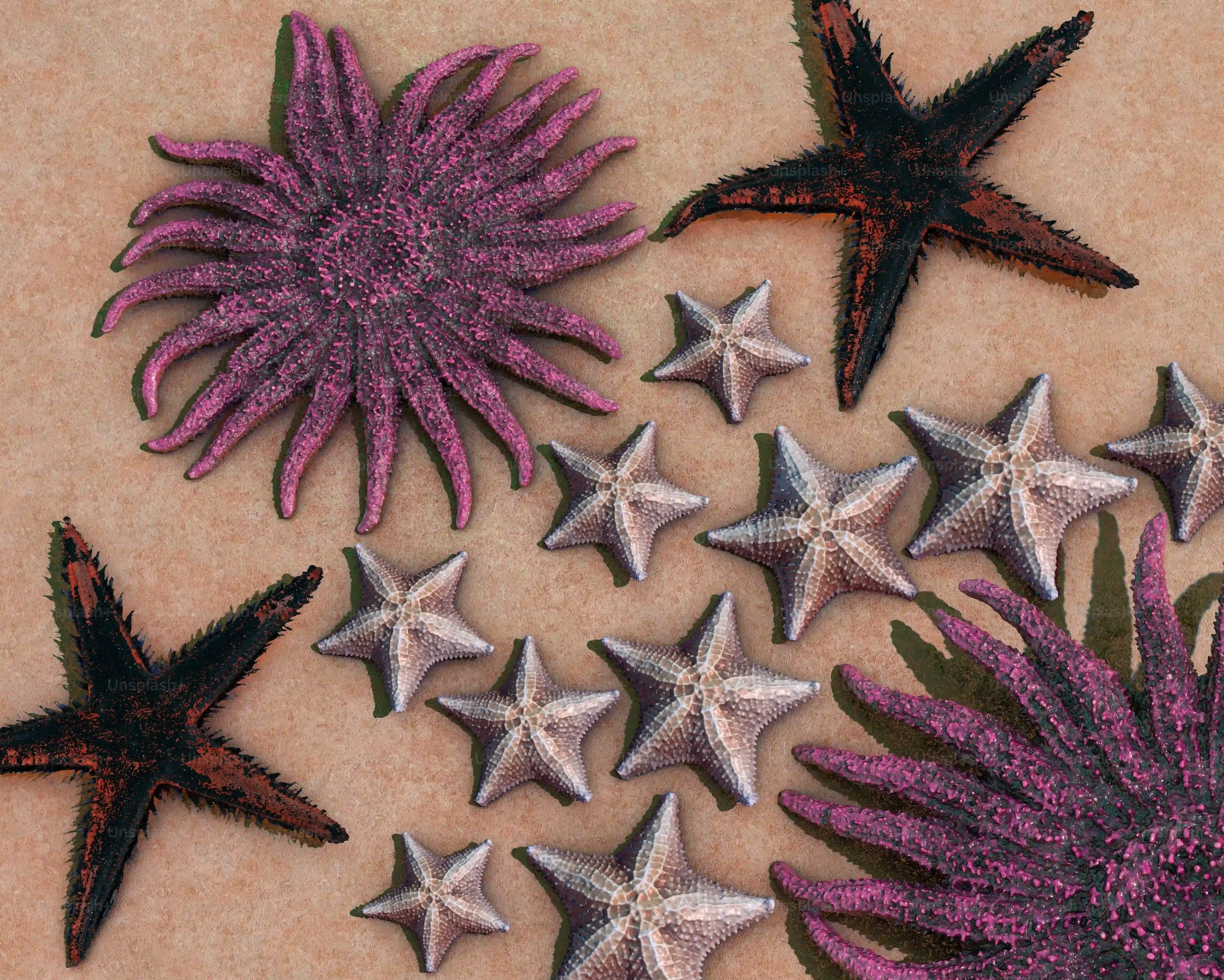Exploring Popular Medusa Tattoo Designs and Styles