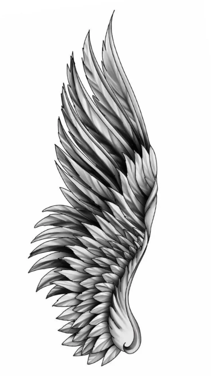Placement Ideas for Your Wing Tattoo Designs