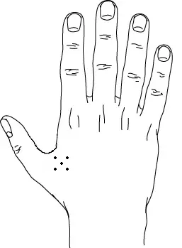 Styles and Placement for Your Nature Tattoo Design