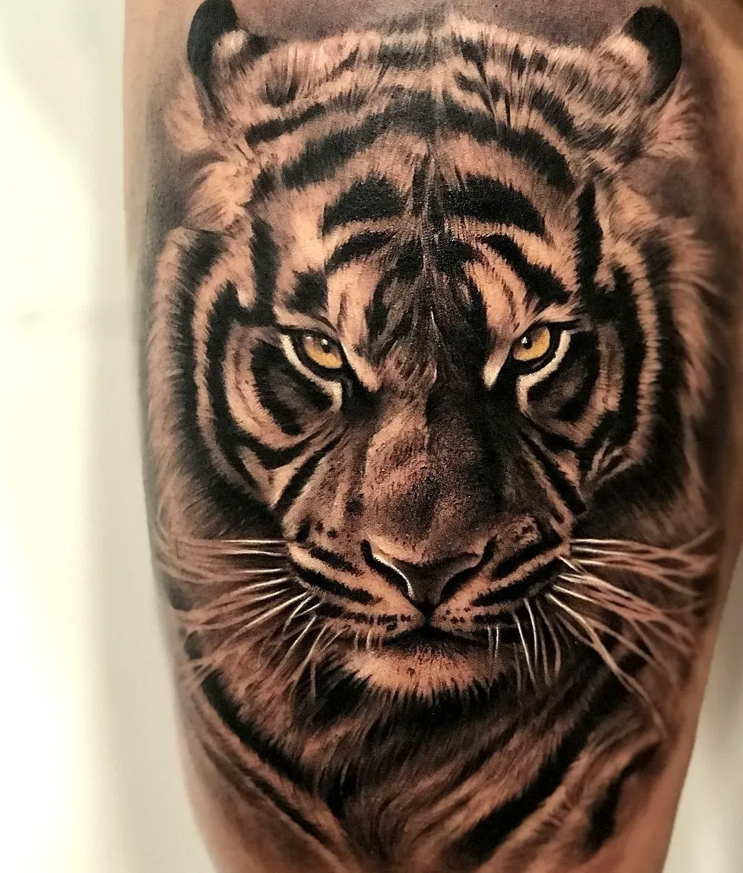 Amazing Tiger Tattoo Designs: Find Your Perfect Look