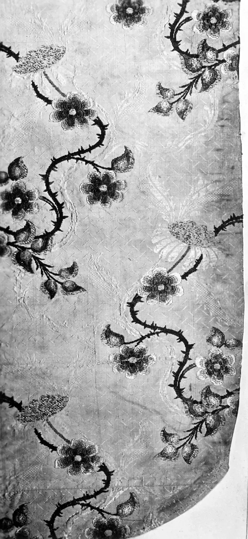 Understanding Tattoo Designs Vines and Flowers: Symbolism and Style