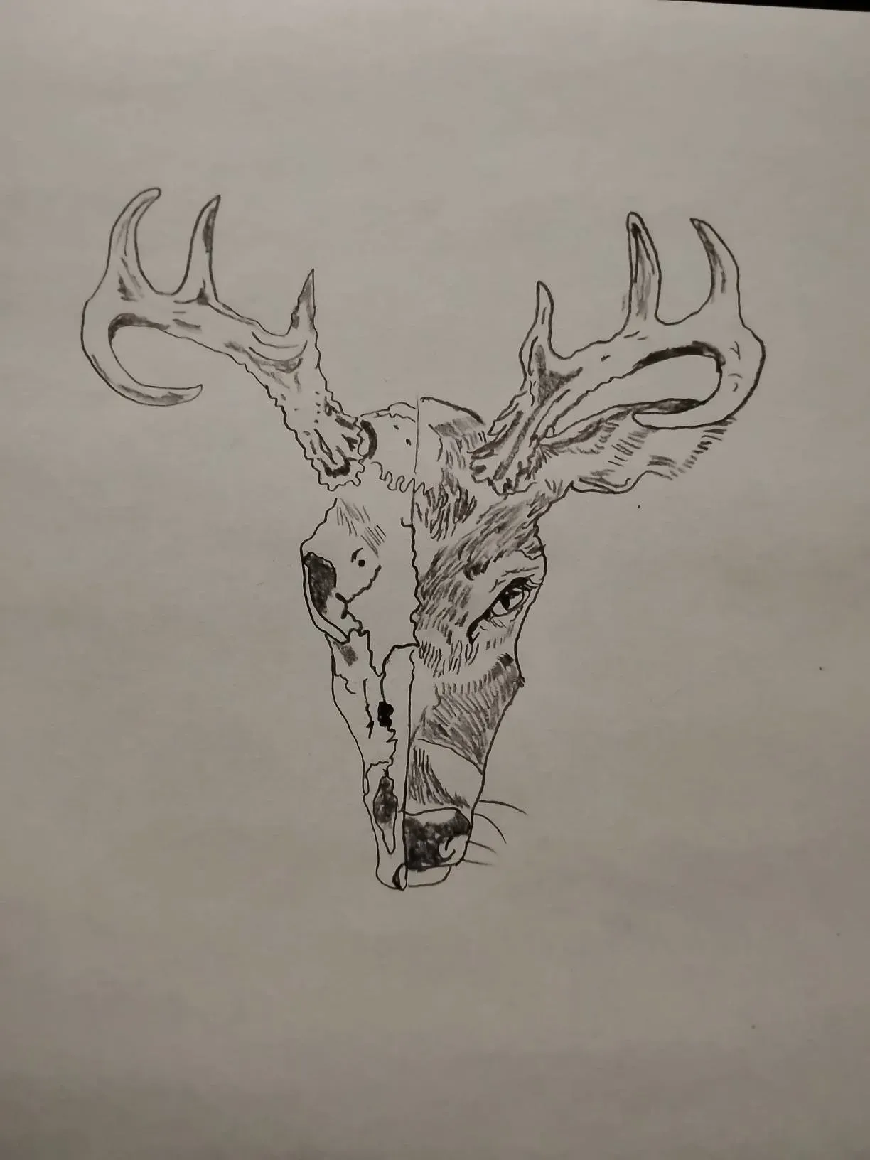 Where to Place Your Skull Tattoo Designs: Location Matters